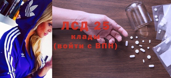 прущие грибы Зеленокумск
