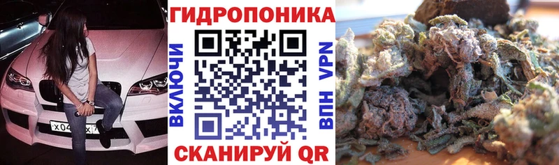 Бошки Шишки семена blacksprut вход Туринск